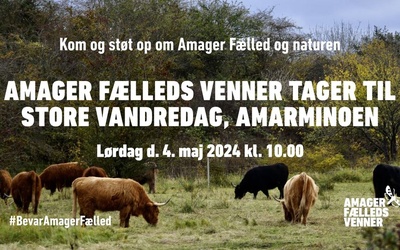 Naturvandring på Amager Fælled på Store Vandredag