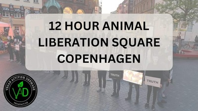 12 Hour Animal Liberation Square